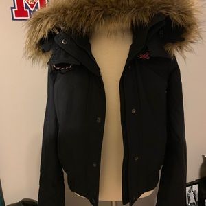 BRAND NEW Hollister winter coat